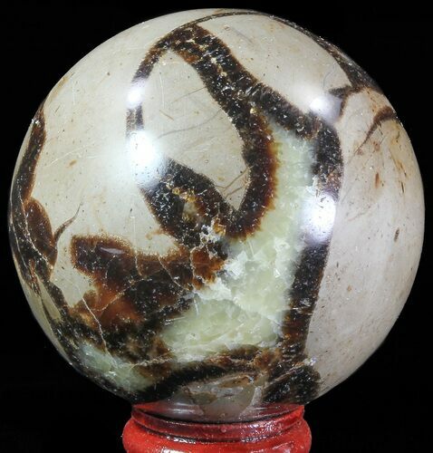 Polished Septarian Sphere - Madagascar #67863